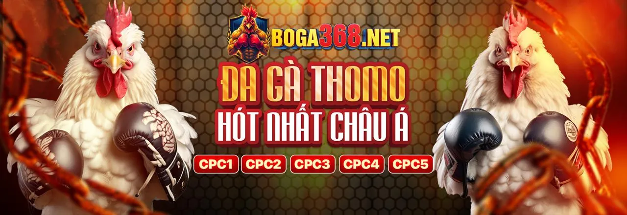 Banner chính trang Blog v6bet