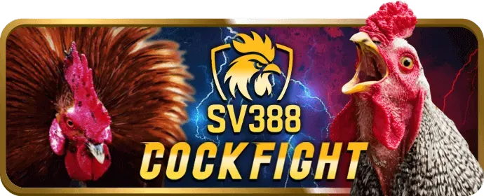 Chương trình giới thiệu bạn bè v6bet